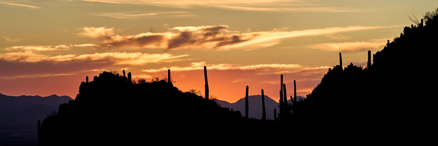 desert sunset